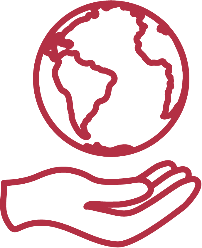 AMC View Painting & Decoration